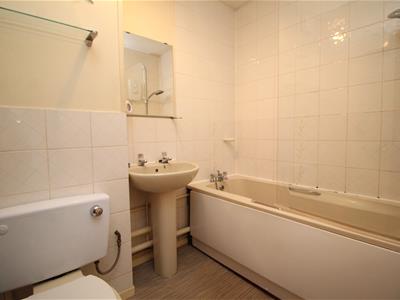 Picture 7